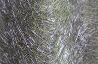 Claygate fibreglass roof work